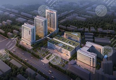 探索网络科技领域的技术咨询价值与趋势